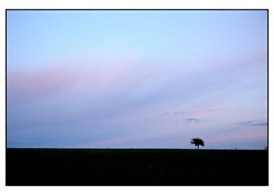 Seul à l'horizon
