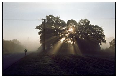 Le vélo d'un matin
