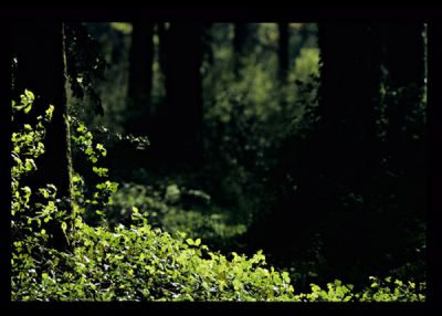 BD_couleur_(95).jpg