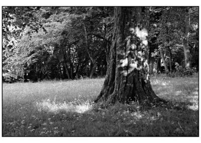 BD_noir_et_blanc_(124).jpg