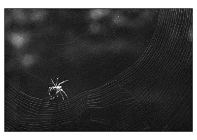 BD_noir_et_blanc_(30).jpg