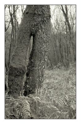 BD_noir_et_blanc_(38).jpg