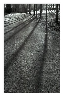BD_noir_et_blanc_(39).jpg