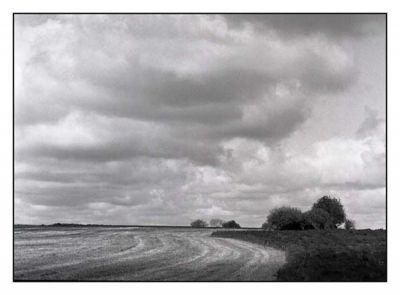 BD_noir_et_blanc_(44).jpg