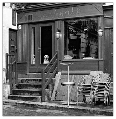 Le Ventilo
