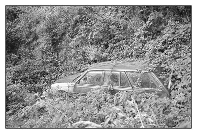 BD_noir_et_blanc_(62).jpg