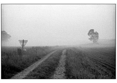 Image10.jpg