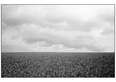 Image15.jpg