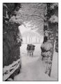 BD_noir_et_blanc_(40).jpg
