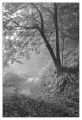 BD_noir_et_blanc_(41).jpg