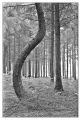 BD_noir_et_blanc_(42).jpg