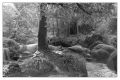 BD_noir_et_blanc_(45).jpg