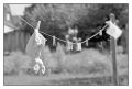 BD_noir_et_blanc_(46).jpg