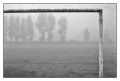 BD_noir_et_blanc_(50).jpg