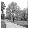 BD_noir_et_blanc_(94).jpg
