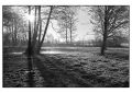 BD_noir_et_blanc_(95).jpg