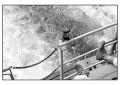 BD_noir_et_blanc_(96).jpg