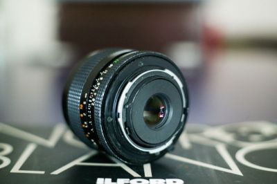 Canon_1Ds-0428.jpg