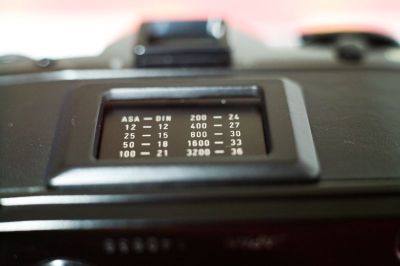 Canon_1Ds-9813.jpg