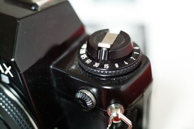 Canon_1Ds-9814.jpg
