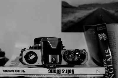DSC_2110.jpg