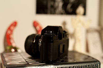 DSC_2114.jpg