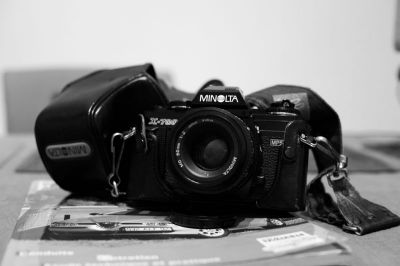 DSC_3813.jpg