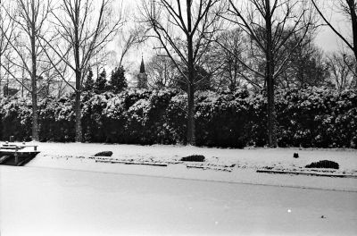 TX_400__0002.jpg