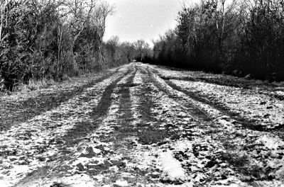 TX_400__0024.jpg