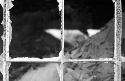 img010-2.jpg