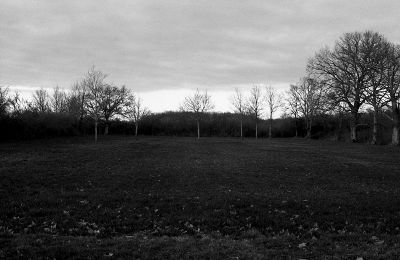 img011~0.jpg