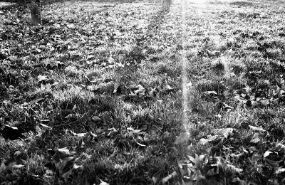 img012-2.jpg