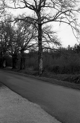 img027.jpg