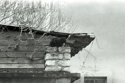 img028.jpg