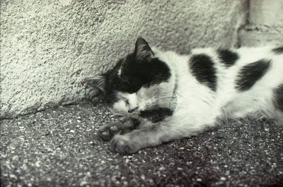 img062.jpg