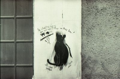 chat "volet"
rokkor x 50mm 1.4 + acros 100 dans l'ancien quartier d'orleans
