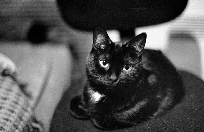 img078.jpg