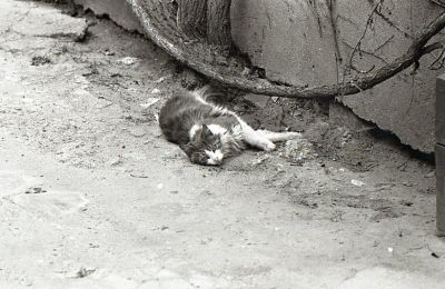 img093.jpg