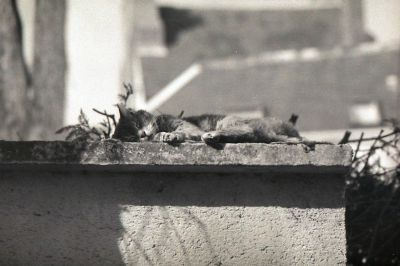 img107.jpg