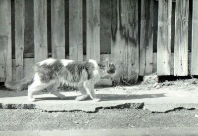 img111.jpg
