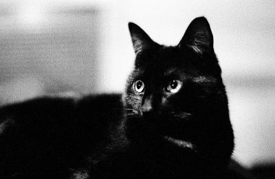 img247~0.jpg