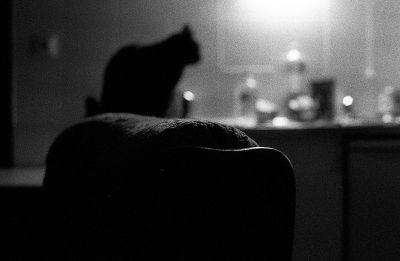 img248.jpg
