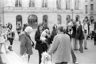 img287.jpg