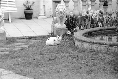 img291.jpg