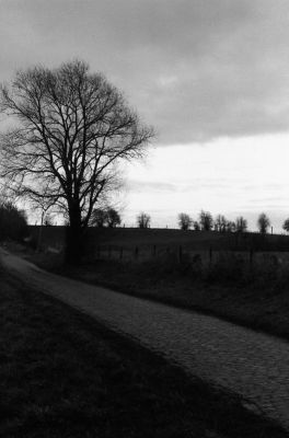 img305.jpg
