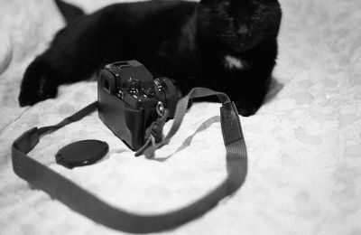 img358.jpg