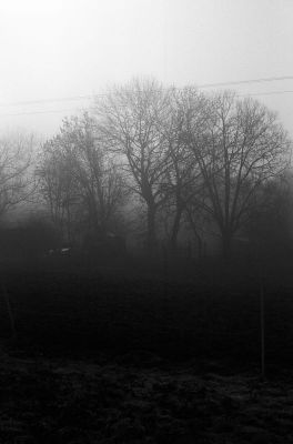 img400.jpg