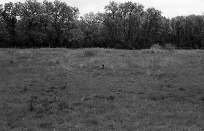 scan014.jpg