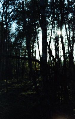 scan237.jpg