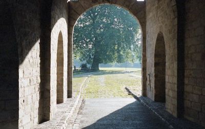 scan407.jpg